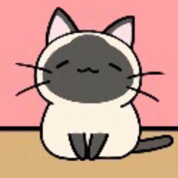 Meet your Posher, Leavan - Picture 1 of 1